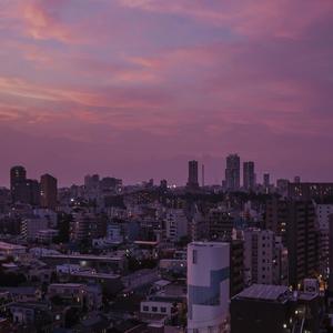 幸福生活丈母娘我老公一级大片国产大片泰国语
